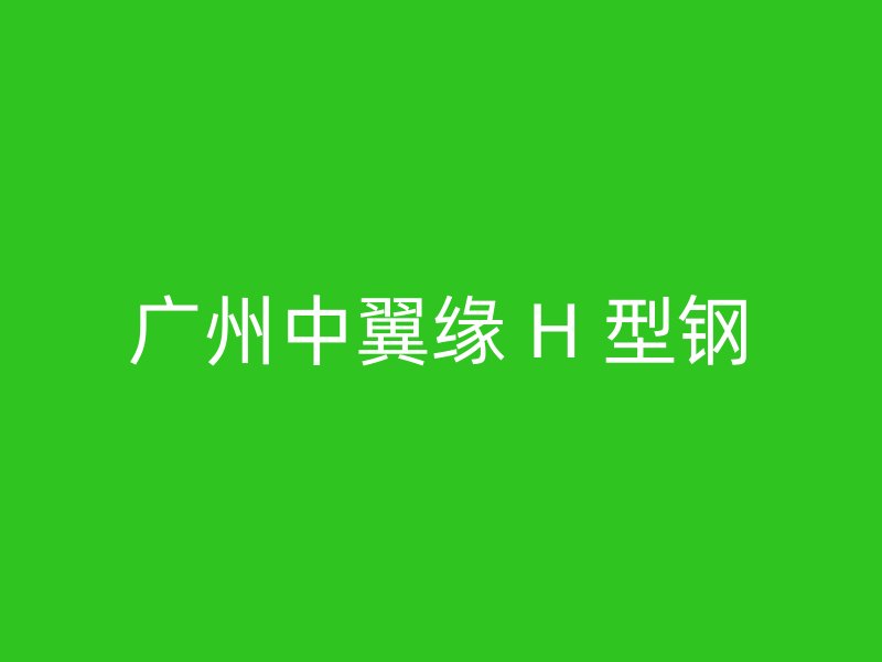 廣州中翼緣 H 型鋼