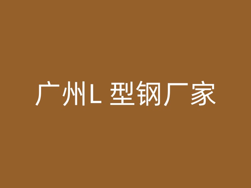 廣州L 型鋼廠家