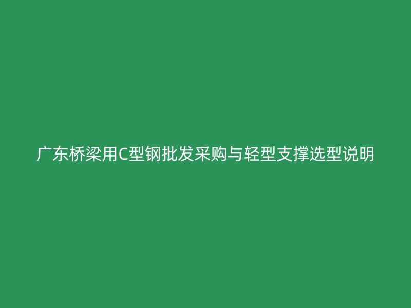 廣東橋梁用C型鋼批發(fā)采購與輕型支撐選型說明