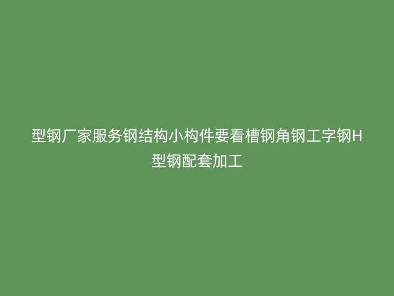 型鋼廠家服務(wù)鋼結(jié)構(gòu)小構(gòu)件要看槽鋼角鋼工字鋼H型鋼配套加工