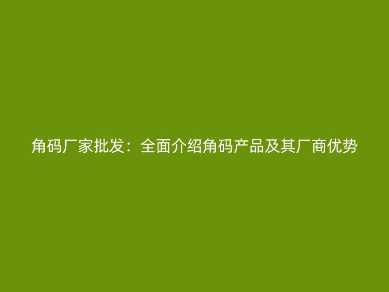 角碼廠家批發(fā)：全面介紹角碼產(chǎn)品及其廠商優(yōu)勢