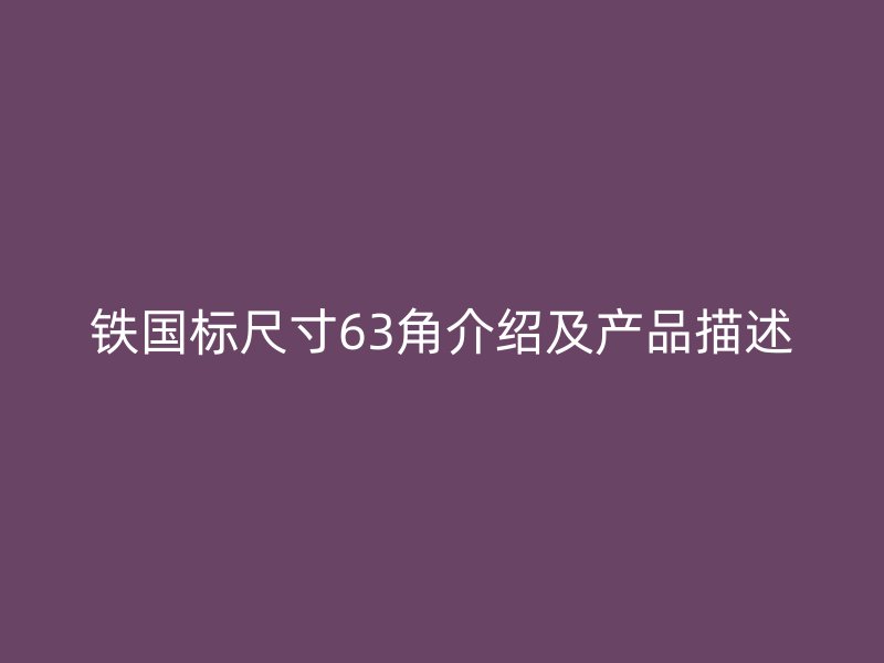 鐵國標尺寸63角介紹及產(chǎn)品描述