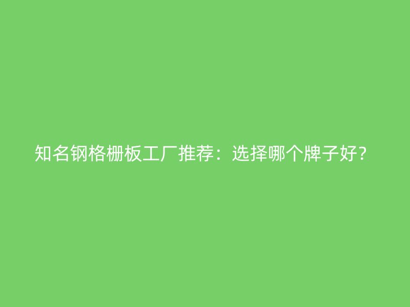 知名鋼格柵板工廠推薦：選擇哪個(gè)牌子好？