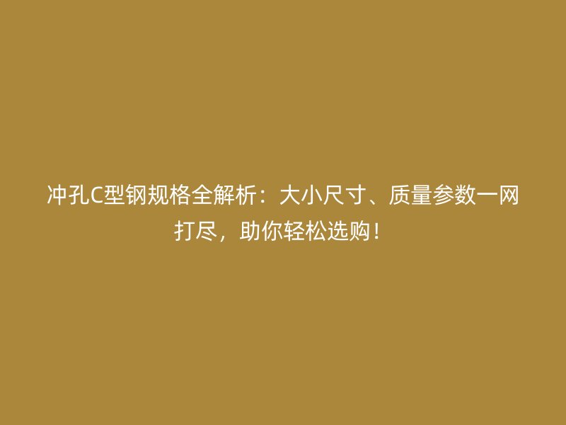 沖孔C型鋼規(guī)格全解析：大小尺寸、質(zhì)量參數(shù)一網(wǎng)打盡，助你輕松選購！