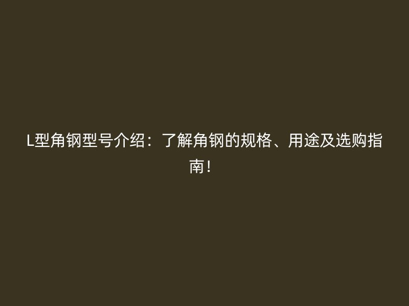 L型角鋼型號(hào)介紹：了解角鋼的規(guī)格、用途及選購(gòu)指南！