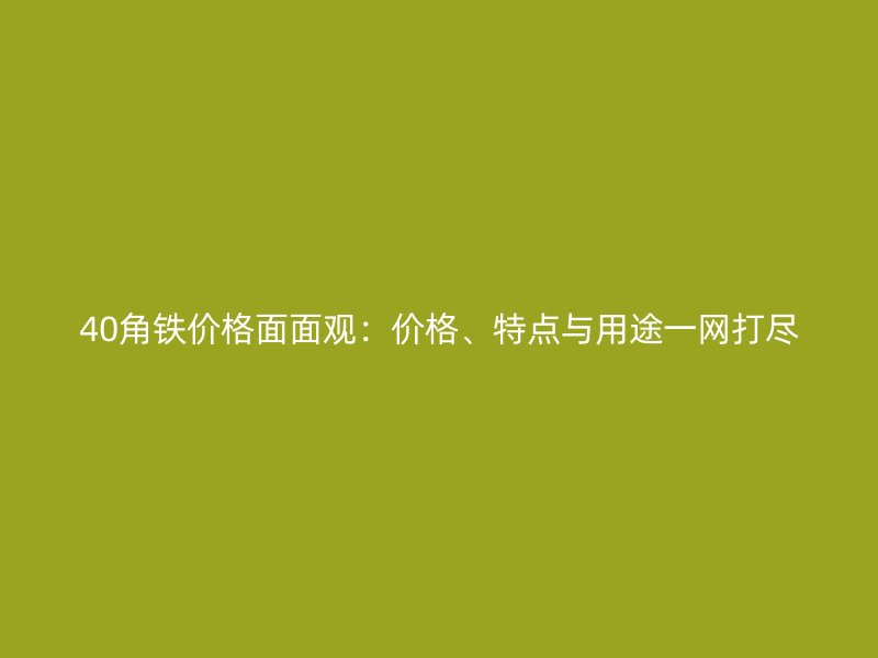 40角鐵價格面面觀：價格、特點與用途一網(wǎng)打盡