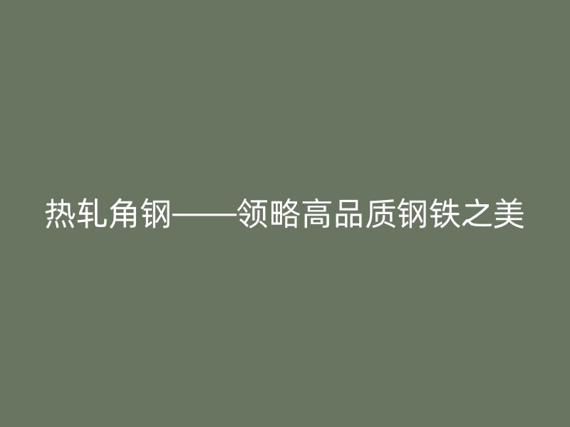 熱軋角鋼——領略高品質鋼鐵之美
